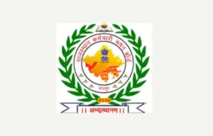 RSMSSB Informatics Assistant Result 2024 Out, Cut-Off and Result PDF