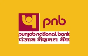 PNB Apprentice Admit Card 2024