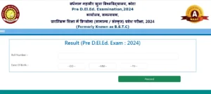 Rajasthan BSTC Pre-DELED Result 2024