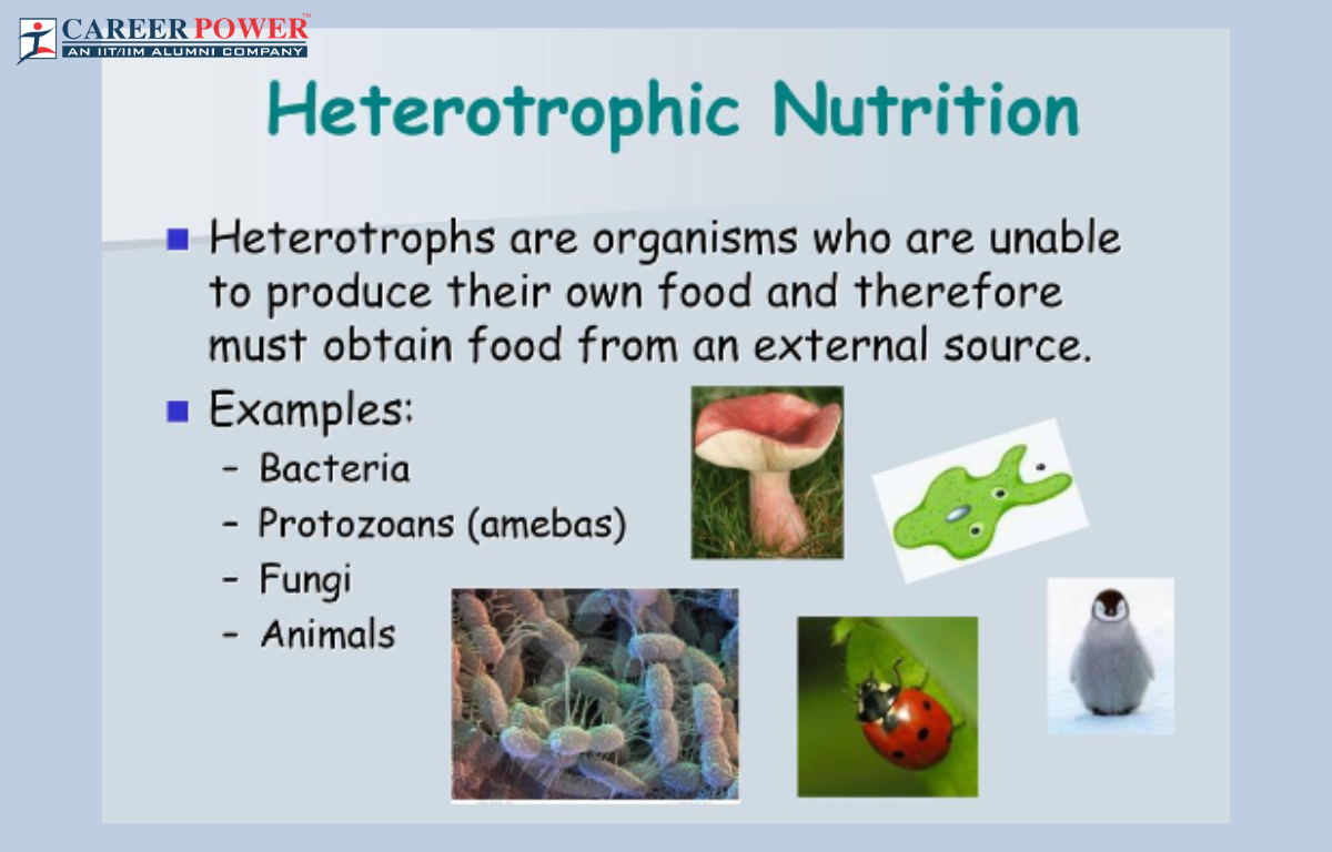 Hetrotropic Nutrition