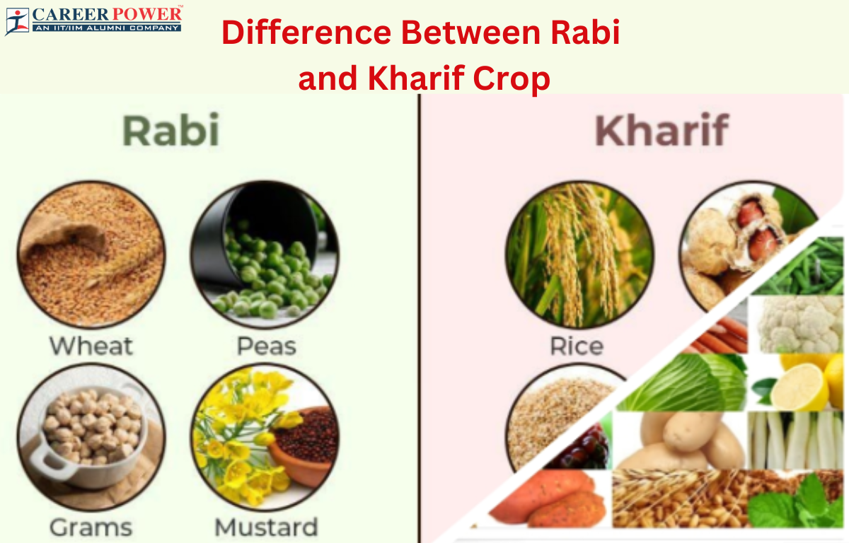 Difference between Rabi and Kharif Crop