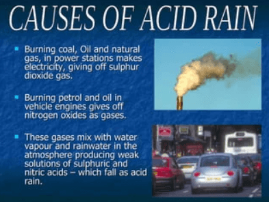 Acid Rain: Definition, Effects, and Examples_7.1