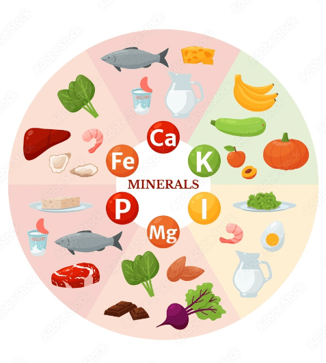 Difference between Vitamins and Minerals_4.1