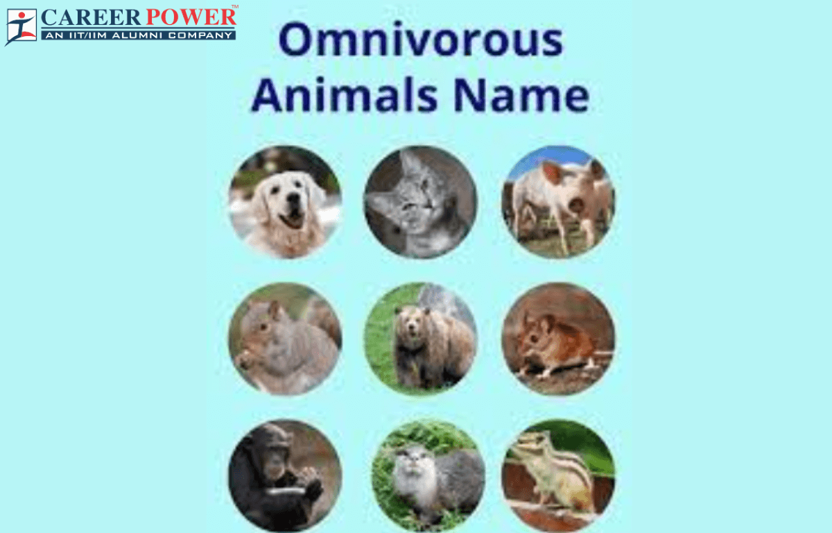 Omnivorous animals