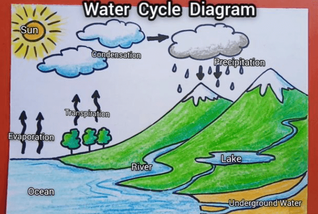 Water Cycle Diagram, Process and Model_3.1