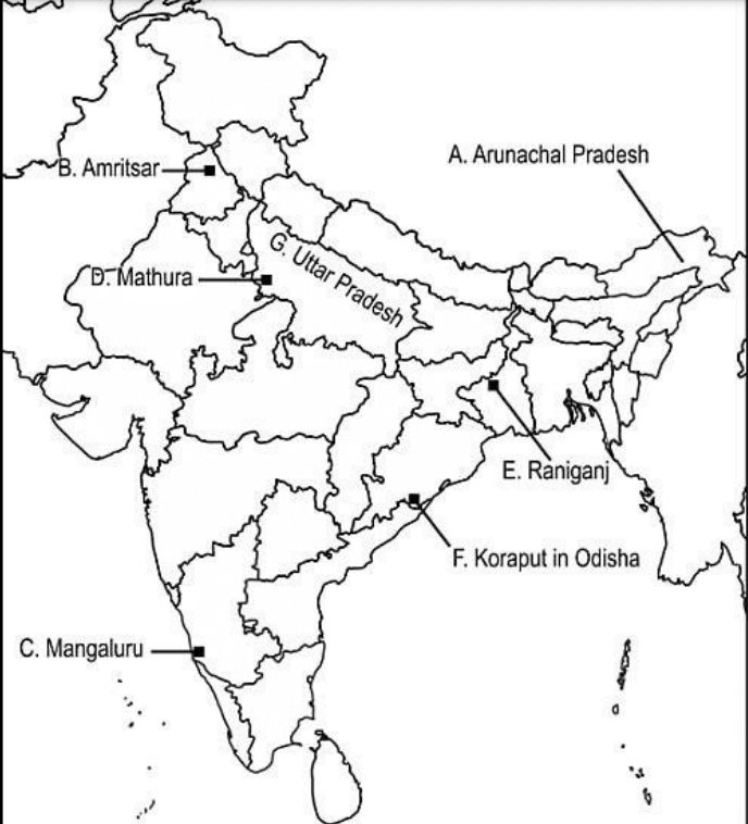 CBSE Class 12 Geography Additional Practice Question Paper 2023-24_10.1