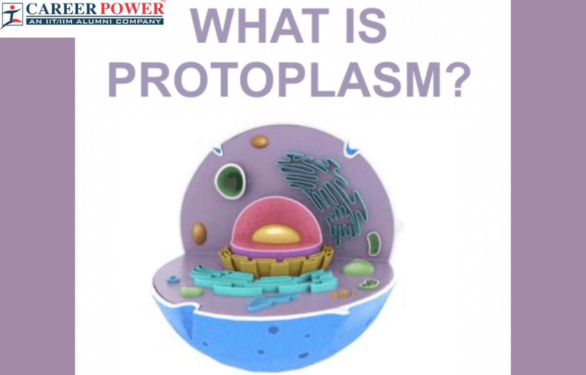 What is protoplasm