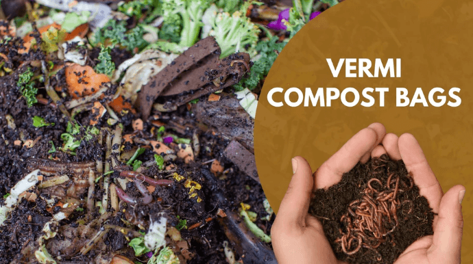 Compost and Vermicompost - Differences and Similarities_4.1