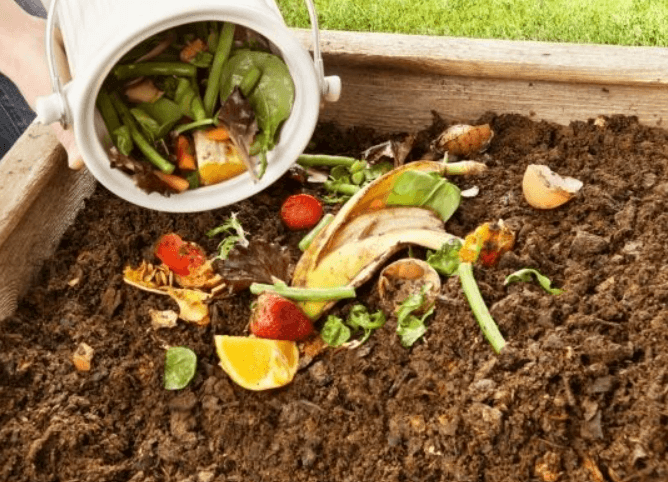 Compost and Vermicompost - Differences and Similarities_3.1