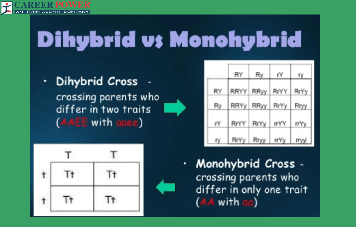 Difference Between Dihybrid Cross And Monohybrid Cross
