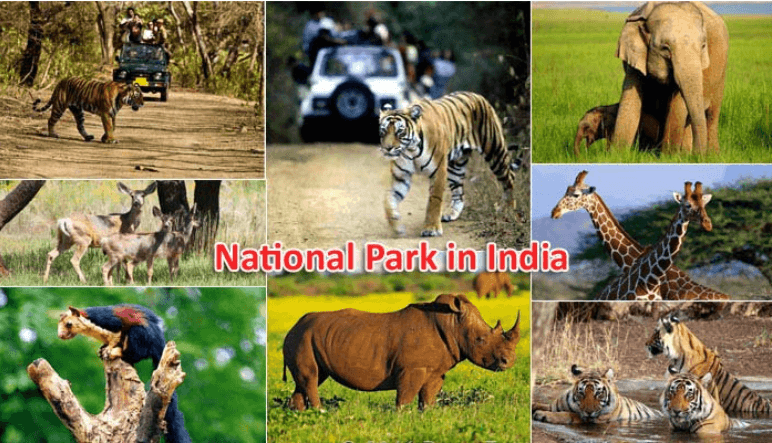Difference Between National Parks and Wildlife Sanctuaries_3.1