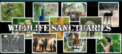 Difference Between National Parks and Wildlife Sanctuaries_4.1