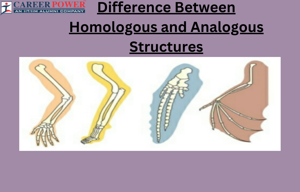 difference between homologous and analogous structures