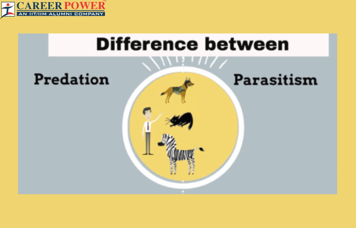 difference between predation and parasitism