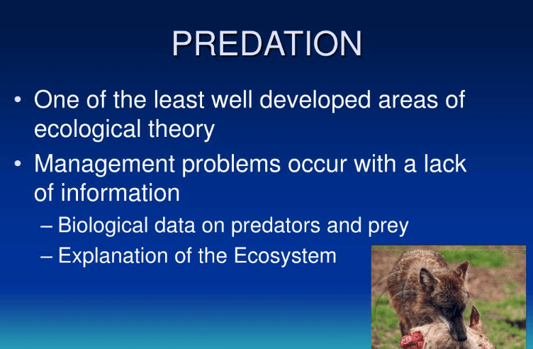 Predation and Parasitism - Differences and Similarities_3.1