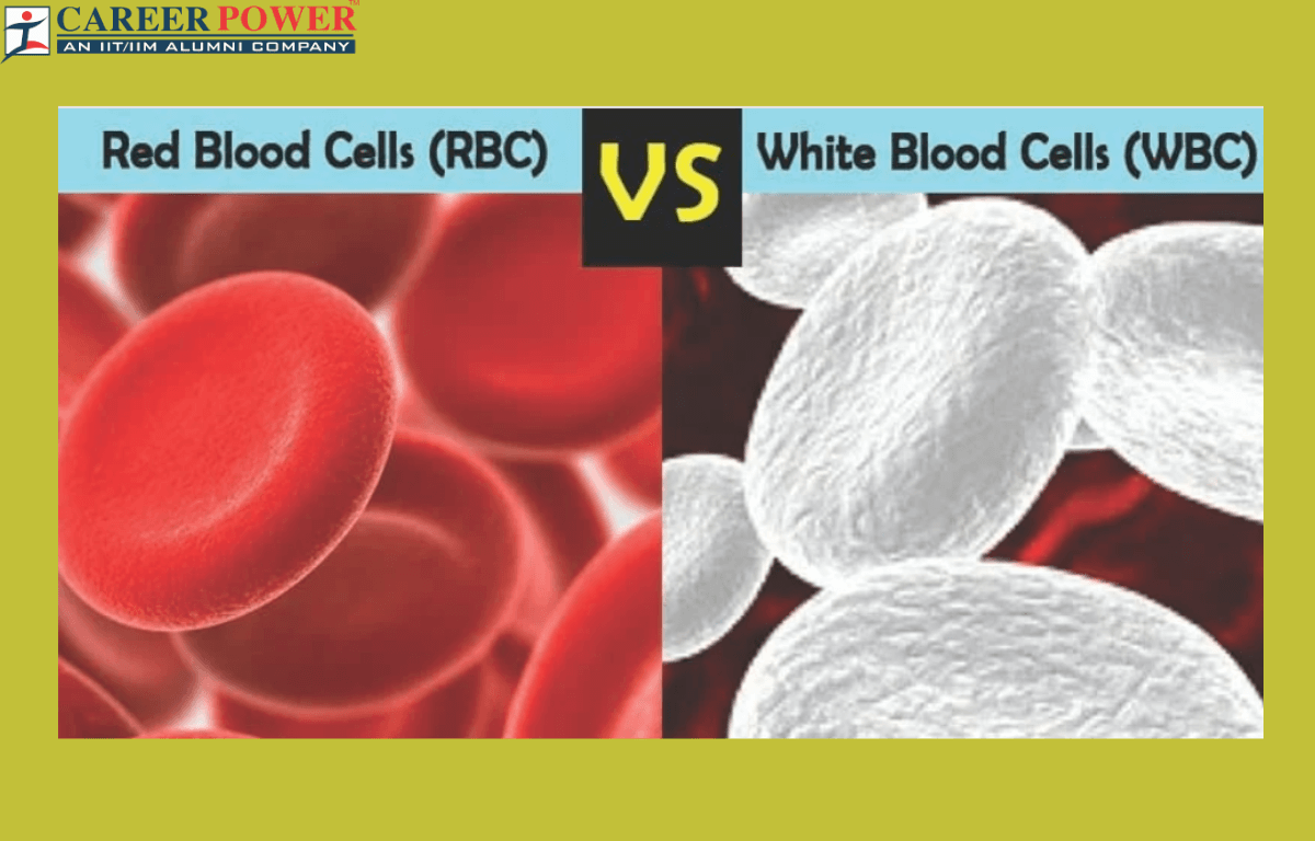 difference between RBC and WBC