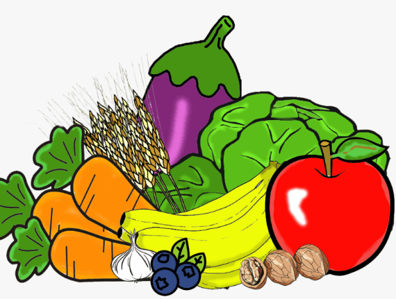 50 Vegetables Name for Kids in English and Hindi_3.1