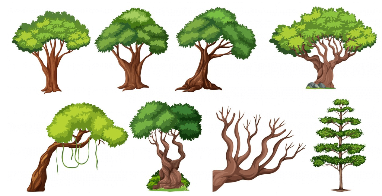 Trees Names, List of 50+ Tree Names in English_4.1