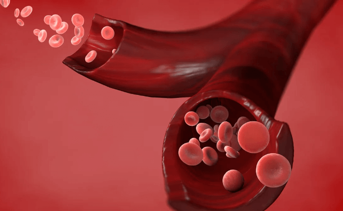 Blood - Definition, its Components, and Functions_3.1