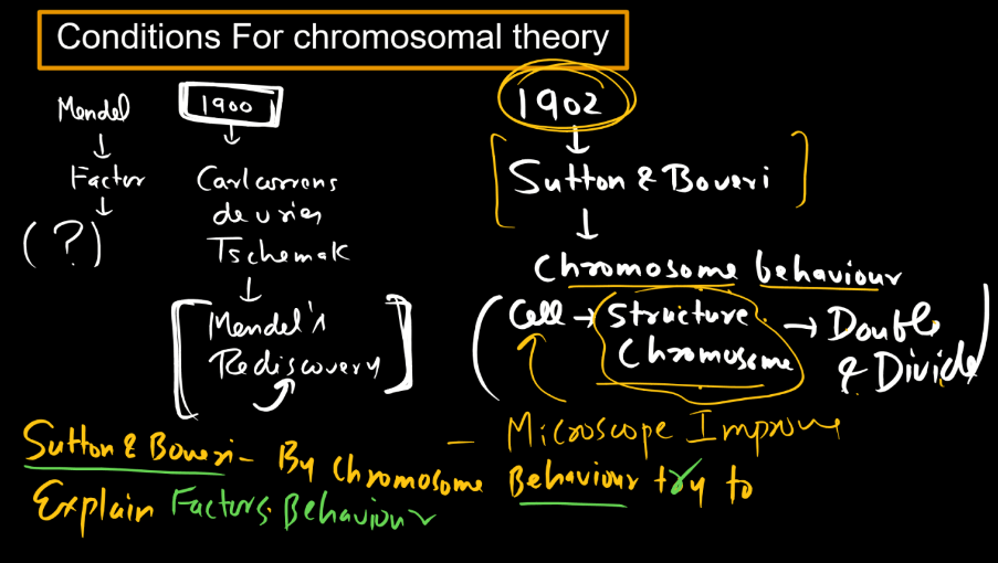 Chromosomal Theory of Inheritance_7.1