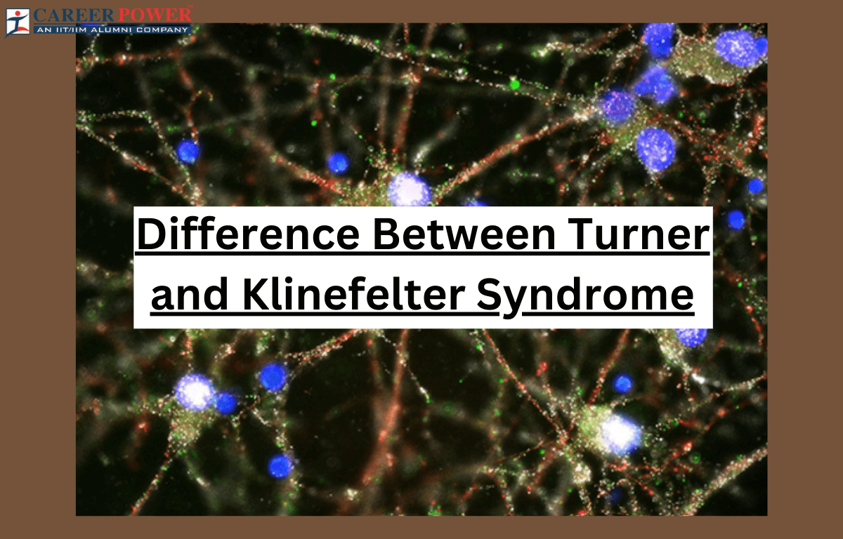 difference between turner and klinefelter syndrome