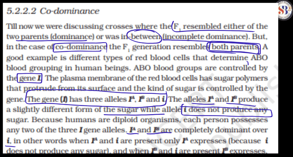 Codominance - Definition, Ratio, Blood Group Example and Facts_7.1