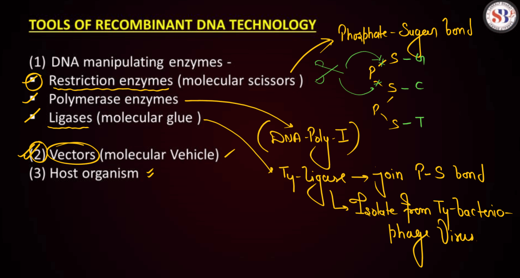 Biotechnology Principles and Processes Class 12 Notes_12.1