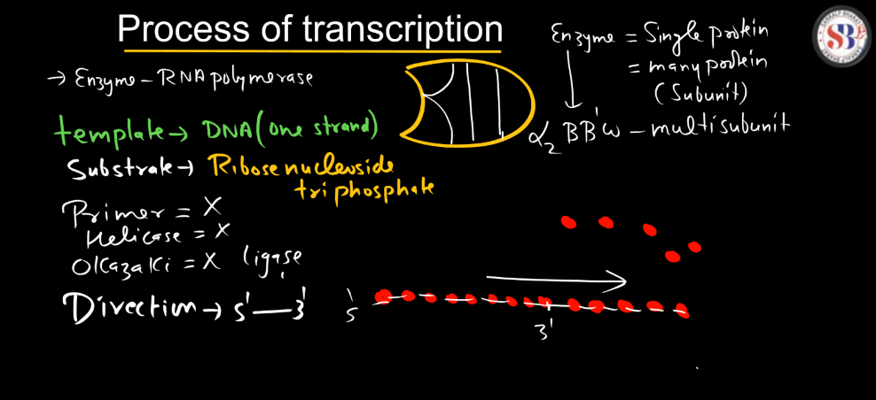 Transcription - Process, Unit, RNA Polymerase, Types of RNA_19.1