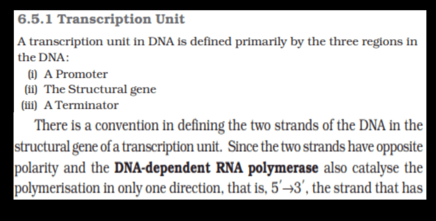 Transcription - Process, Unit, RNA Polymerase, Types of RNA_12.1