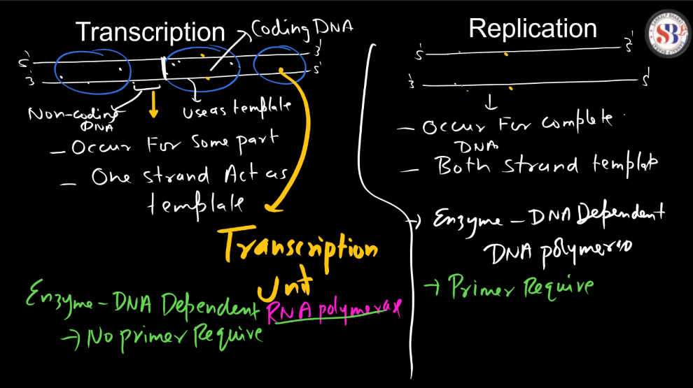 Transcription - Process, Unit, RNA Polymerase, Types of RNA_4.1