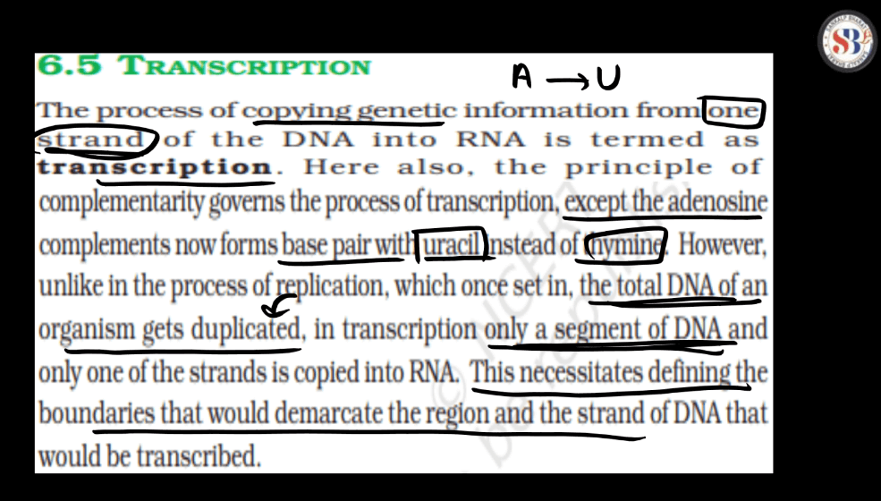 Transcription - Process, Unit, RNA Polymerase, Types of RNA_5.1