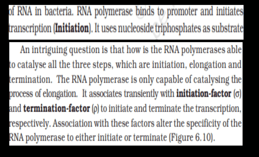 Transcription - Process, Unit, RNA Polymerase, Types of RNA_25.1