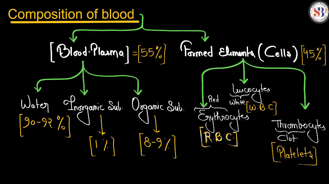 Blood - Definition, its Components, and Functions_5.1