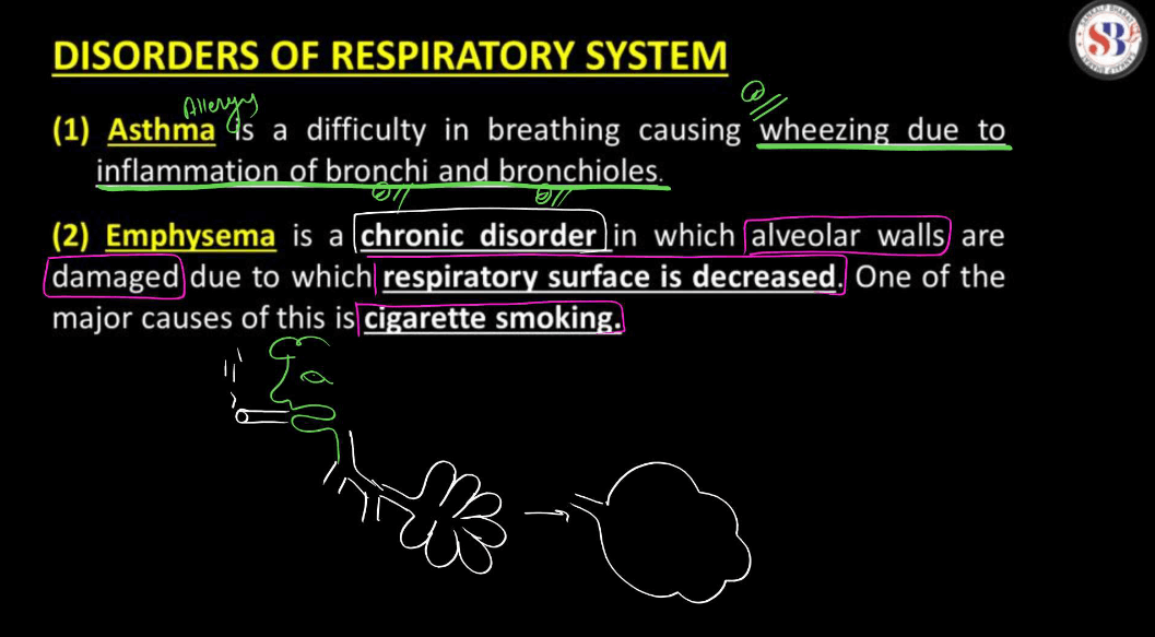 Transport of Gases in Human Body during Respiration_12.1