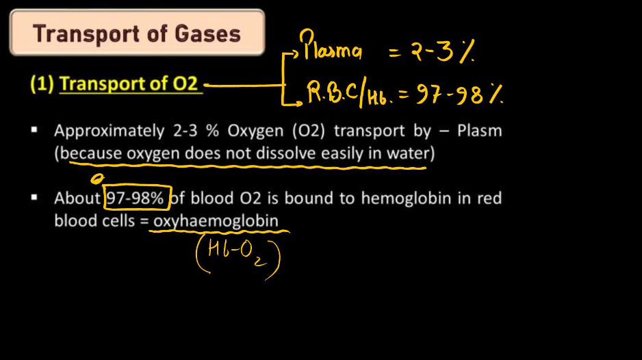 Transport of Gases in Human Body during Respiration_5.1