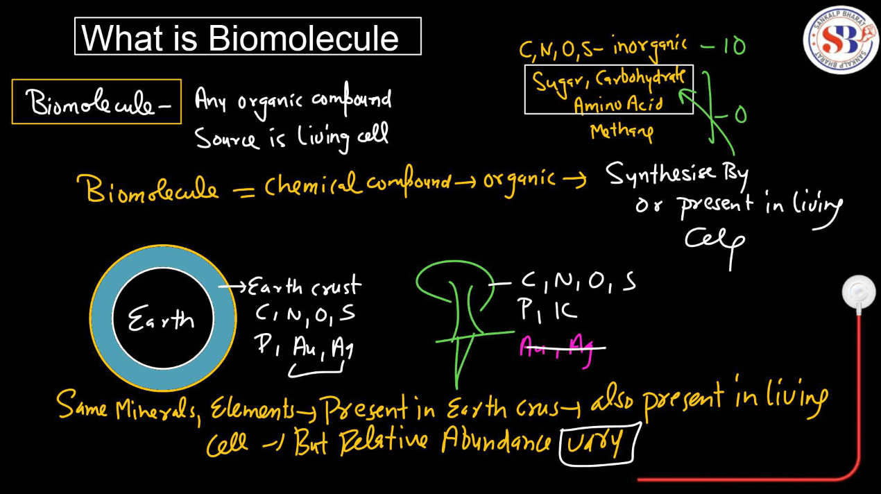 Biomolecules and Its Types - Protein, Carbohydrates, Nucleic Acid, Lipids_3.1