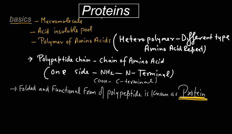 Protein: Definition, Structure, Types, and Functions_4.1