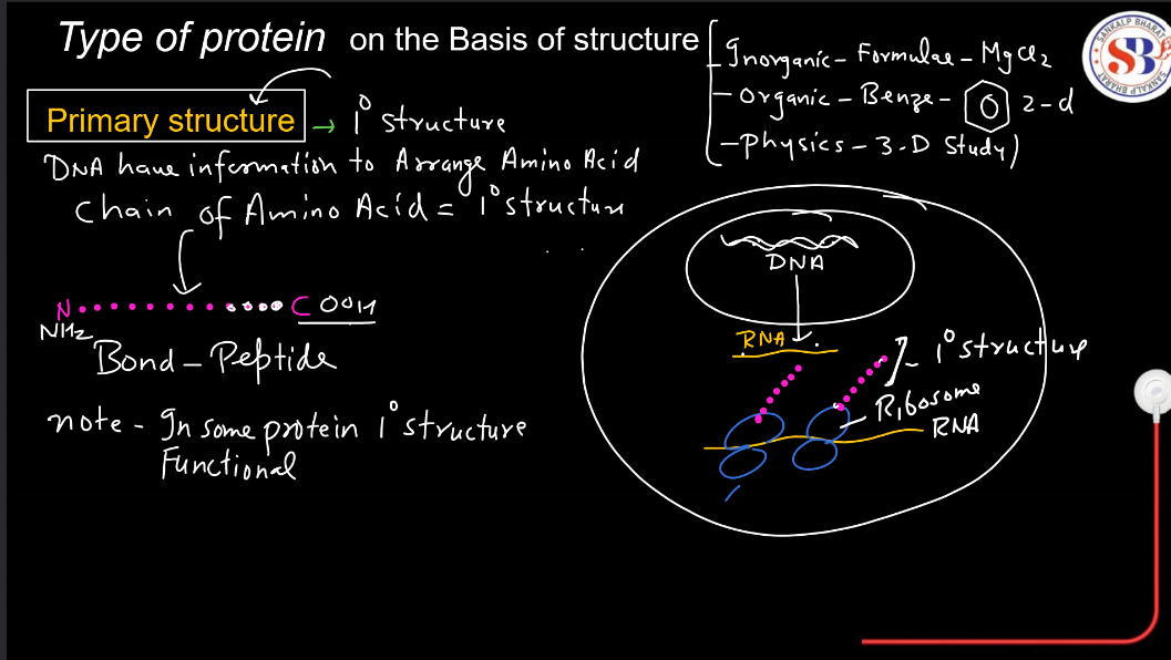 Protein: Definition, Structure, Types, and Functions_6.1
