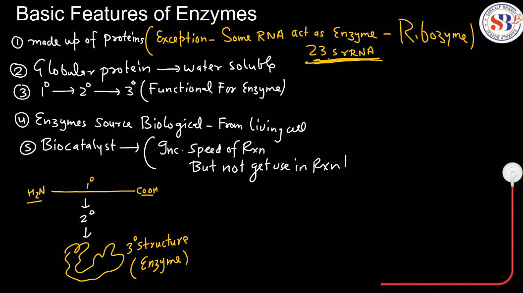 Enzymes: Definition, Functions, and their Structure_4.1