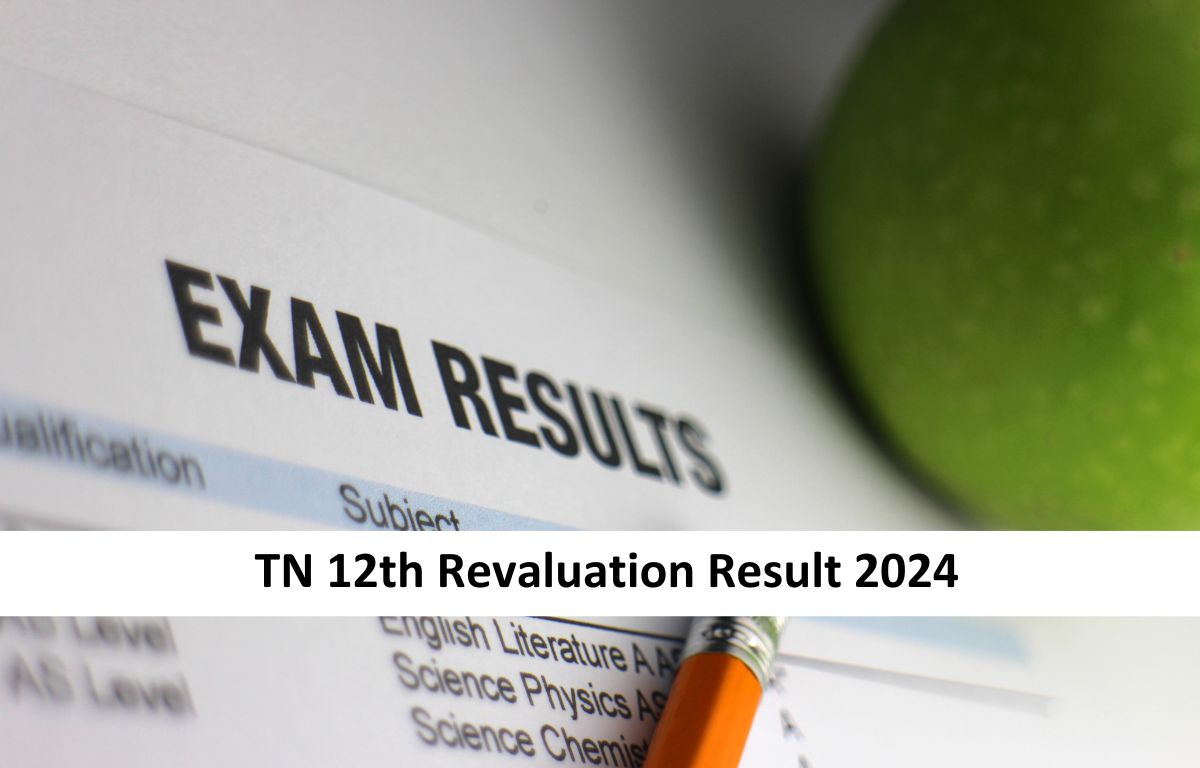 TN 12th Revaluation Result 2024