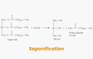 Saponification