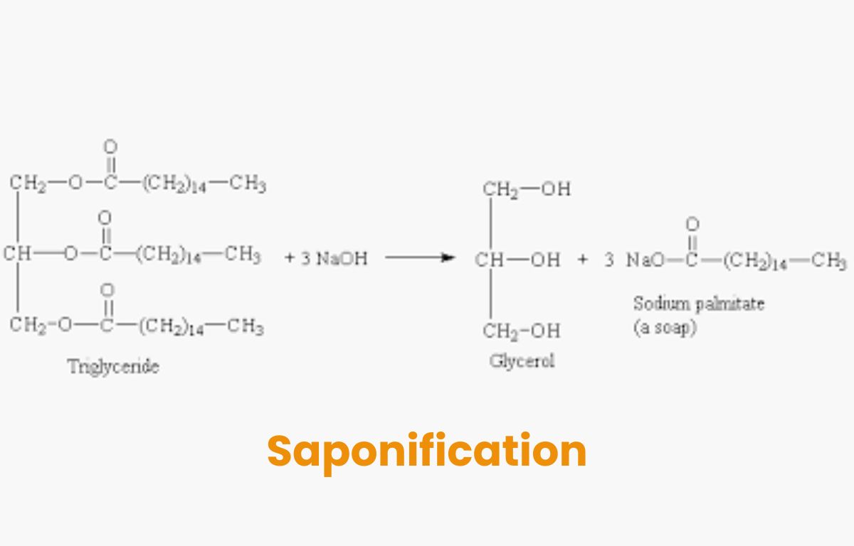 Saponification - Define, Reaction, Step Wise Mechanism, Effects, Examples