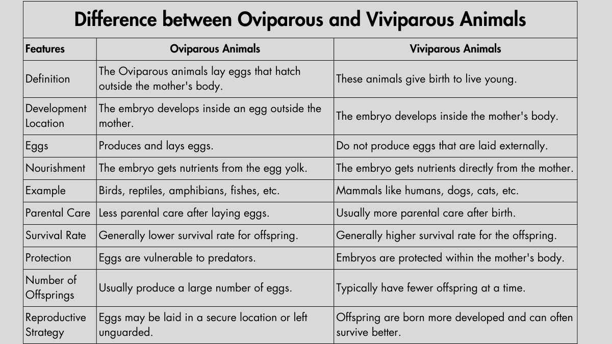 Difference between Oviparous and Viviparous Animals