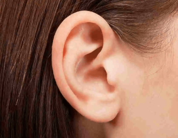 Human Ear - Structure and Its Parts, Functions_3.1