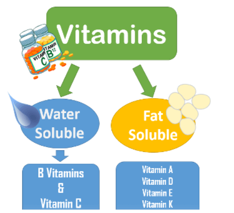 Difference Between Fat Soluble and Water Soluble Vitamins_5.1