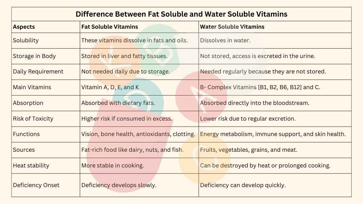 Difference Between Fat Soluble and Water Soluble Vitamins