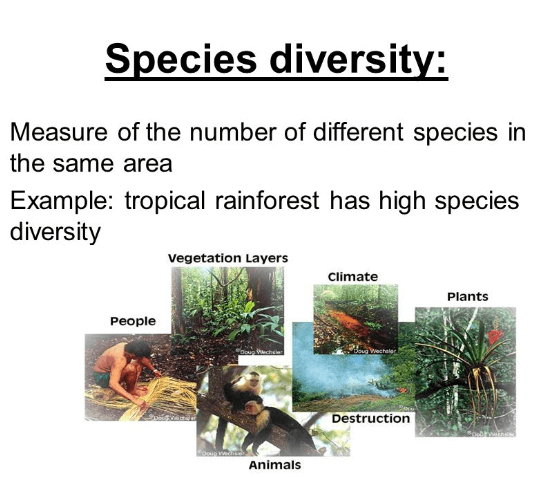 What is Biodiversity? Define, Types, Features_6.1