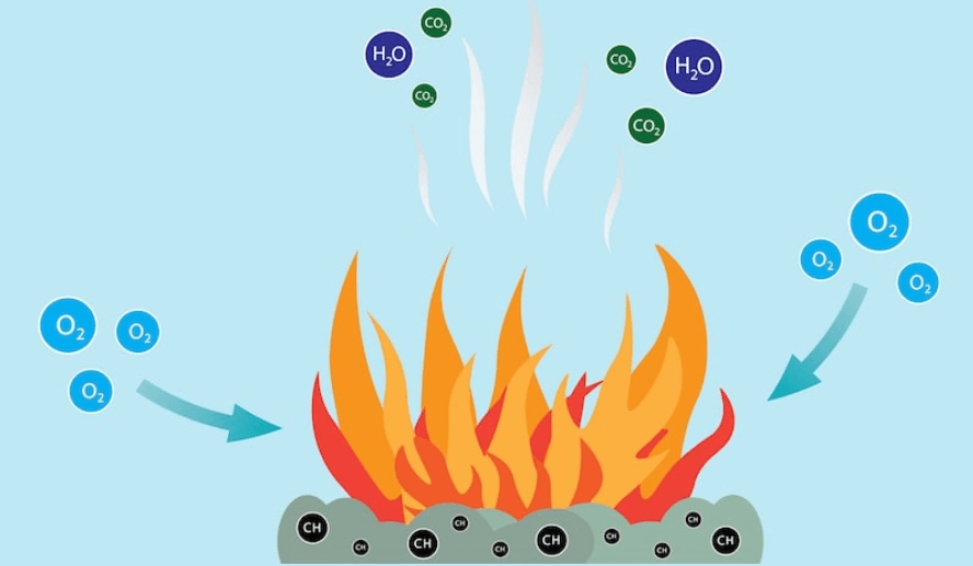 Difference Between Respiration and Combustion_6.1