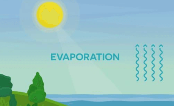 Evaporation - Definition, Step-Wise Process, Causes, Applications_5.1